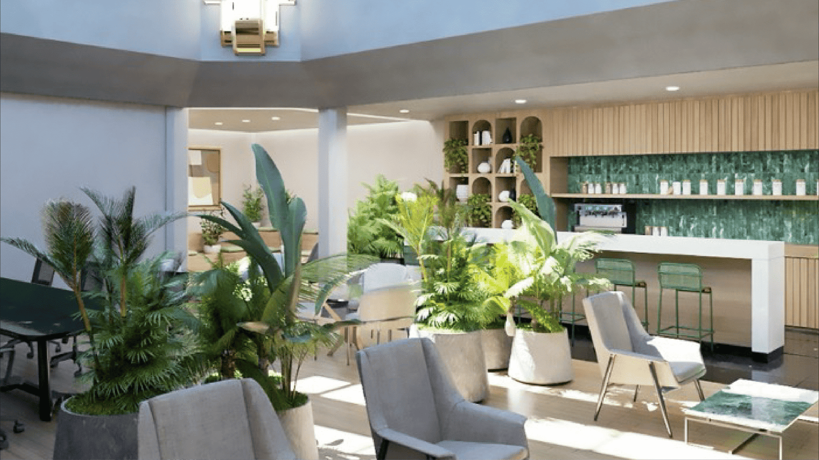 la nacional_GALERIA 04